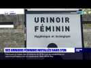 Des urinoirs féminins installés dans Lyon