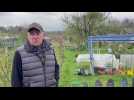 Aux Jardins familiaux de Sedan, Jean-Louis Linette protège ses plantes du gel