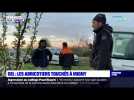 Gel : les abricotiers touchés à Irigny