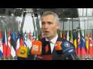 NATO chief warns Ukraine war could last 'months, even years'