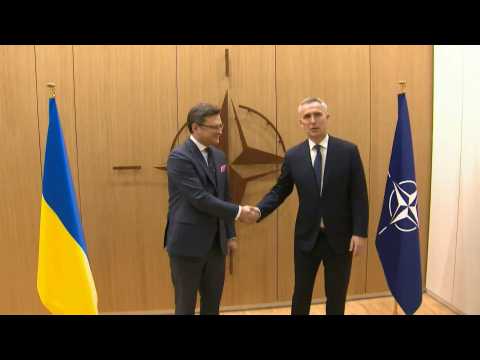 Ukraine FM Kuleba meets NATO chief Stoltenberg for bilateral talks