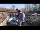 À Romilly-sur-Seine, Chlorophylle prépare de la soupe pour les Ukrainiens