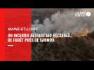 Les images impressionnantes de l'incendie qui a ravagé 160 hectares de forêt près de Saumur