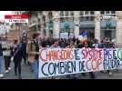 Marche pour le climat à Angers: 450 personnes défilent pour la planète