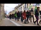 150 personnes ont défilé à Saint-Omer pour sensibiliser à la question du climat