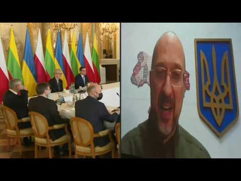 Polish, Lithuanian and Ukrainian Prime Ministers hold virtual meeting