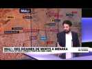 Mali : des dizaines de civils et de combattants du MSA tués près de Ménaka