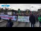 Marche « look up » pour le climat à Nantes : plusieurs centaines de manifestants dans le centre