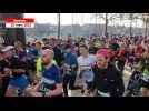 Vannes. 250 coureurs s'élancent au Vann'Éco Tour