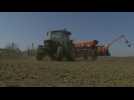 Ukraine: au début des semailles, l'agriculture craint la panne sèche