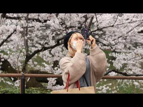 Tokyo comes out to enjoy the cherry blossom despite virus warning