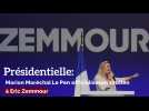 Présidentielle: Marion Maréchal officialise son soutien à Eric Zemmour