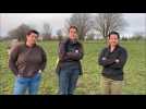Avesnes-sur-Helpe : ces vétos femmes qui ont choisi les animaux d'élevage