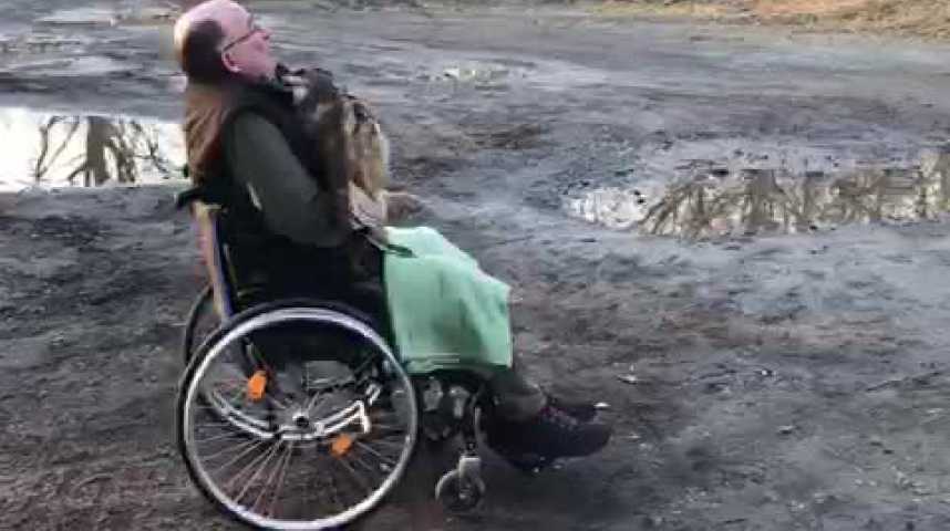 Un hibou grand-duc blessé, soigné et libéré à La Chaux-de-Fonds - La  Salamandre