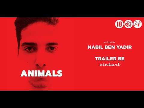 ANIMALS Trailer BE