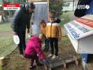 À Quimper, des poulettes à l'école du Petit Parc