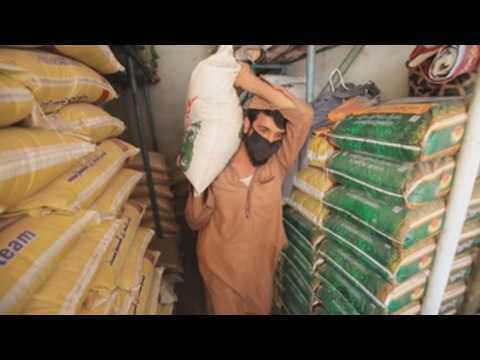 India, Pakistan battle over basmati rice GI tag