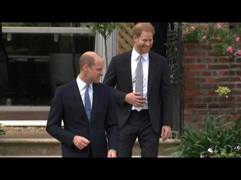 William &amp; Harry arrive together for Diana statue unveiling
