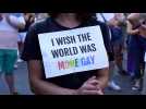 Protesters march in Spain after killing of gay man