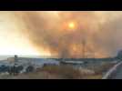 More than 400 hectares burned by wildfire in Villarrasa (Spain), says mayor