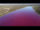 Lagoon in Argentine Patagonia turns pink due to pollution