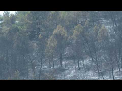 France: fire in Aude region seems to be contained but risks reigniting