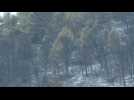 France: fire in Aude region seems to be contained but risks reigniting - Label : AFPTV - First images - Category : News