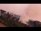 Forest fire in Barcelona affects 150 hectares, forces AP-7 motorway to be cut off