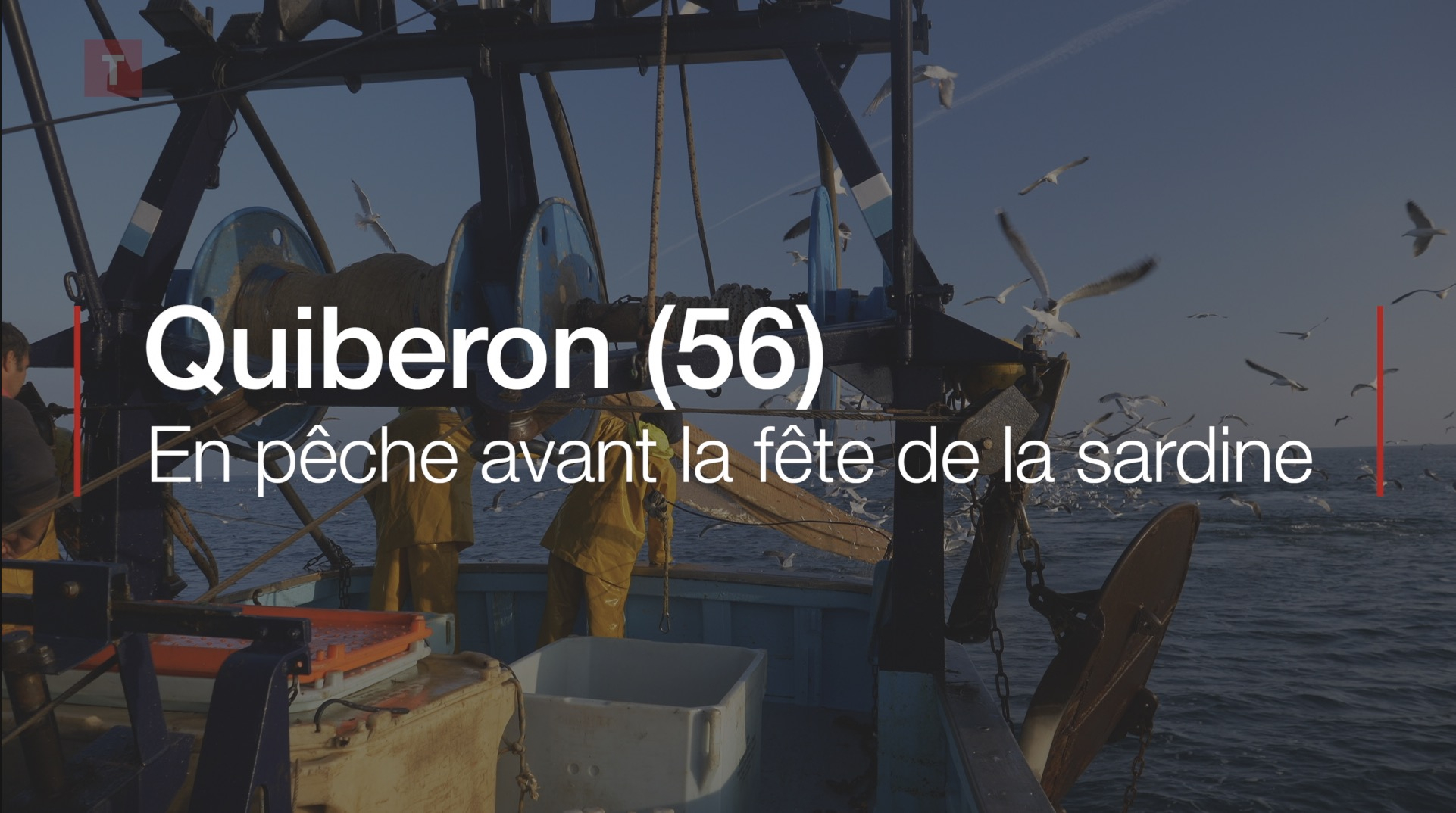 Suivez les pêcheurs de sardine à l'occasion de la fête à la sardine à Quiberon (Le Télégramme)
