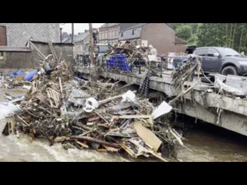 Heavy rains leave at least 20 dead in Belgium