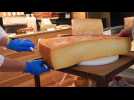 Tudanco, the largest cheese in Cantabria