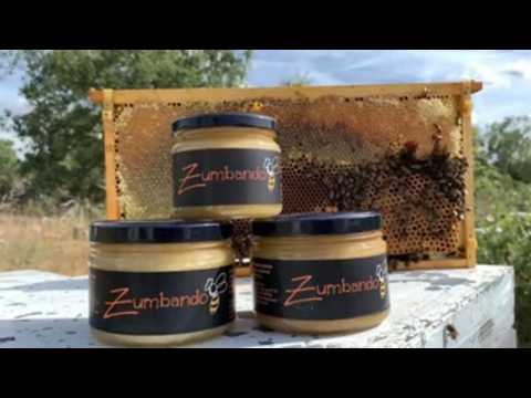 Zumbando, Valladolid's gold honey