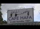 Café Hafa in Tangier turns 100