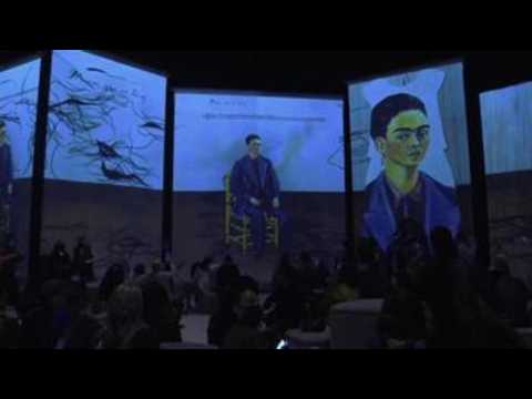 Immersive digital exhibition disseminates life story of Frida Kahlo