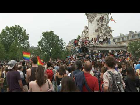Pride march takes place in Paris (2)