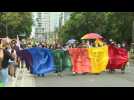 Hundreds take part in Pride march in Mexico City