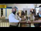 Regional: Thierry Mariani (RN) votes for the second round in Avignon