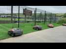 Saint-Léonard : des robots pour tondre la pelouse des terrains de football
