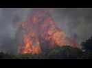 Un important feu de forêt maîtrisé dans les Alpes-Maritimes