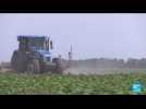 Guerre en Ukraine : le désespoir des fermiers otages du blocus des céréales