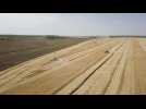 Ukraine: début de la récolte du blé dans le sud du pays