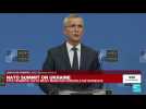 REPLAY: NATO Secretary General gives press conference on Ukraine