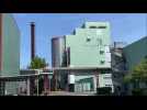 Dunkerque: dans les coulisses de l'usine Minakem, géant de la chimie fine