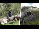 Meet the Swiss farming couple who fought to give their cattle a better life, and a better death
