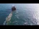 Chalutiers : armes de destruction marine