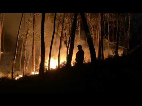Firefighters battle wildfires in Portugal