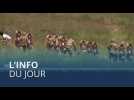 L'info du jour | 10 juillet - Matin