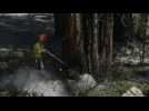 USA: l'incendie au parc national de Yosemite continue
