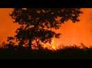 Gironde: les pompiers luttent contre un incendie difficile à maîtriser