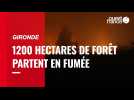 VIDÉO. En Gironde, près de 1000 hectares de forêt brûlés dans deux incendies en cours